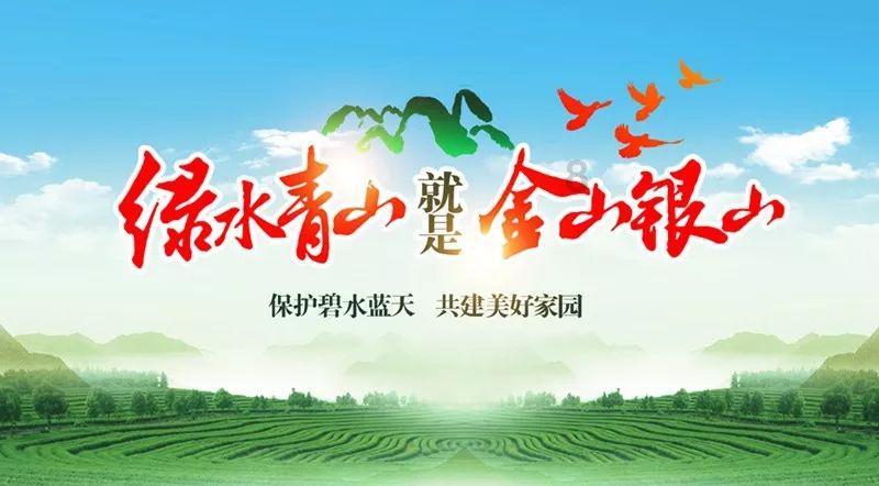 第五人格